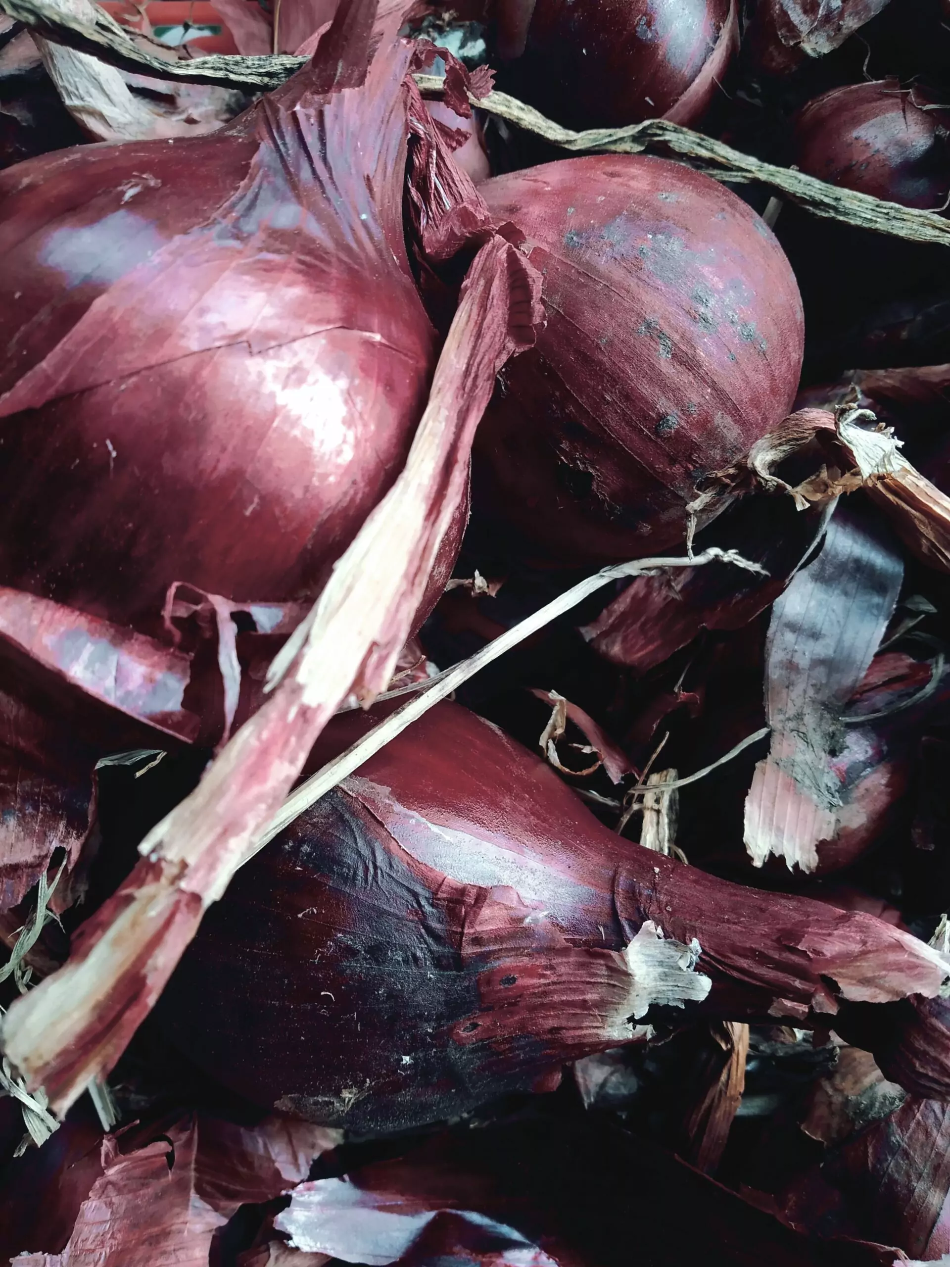 légumes-ferme-Plouzané