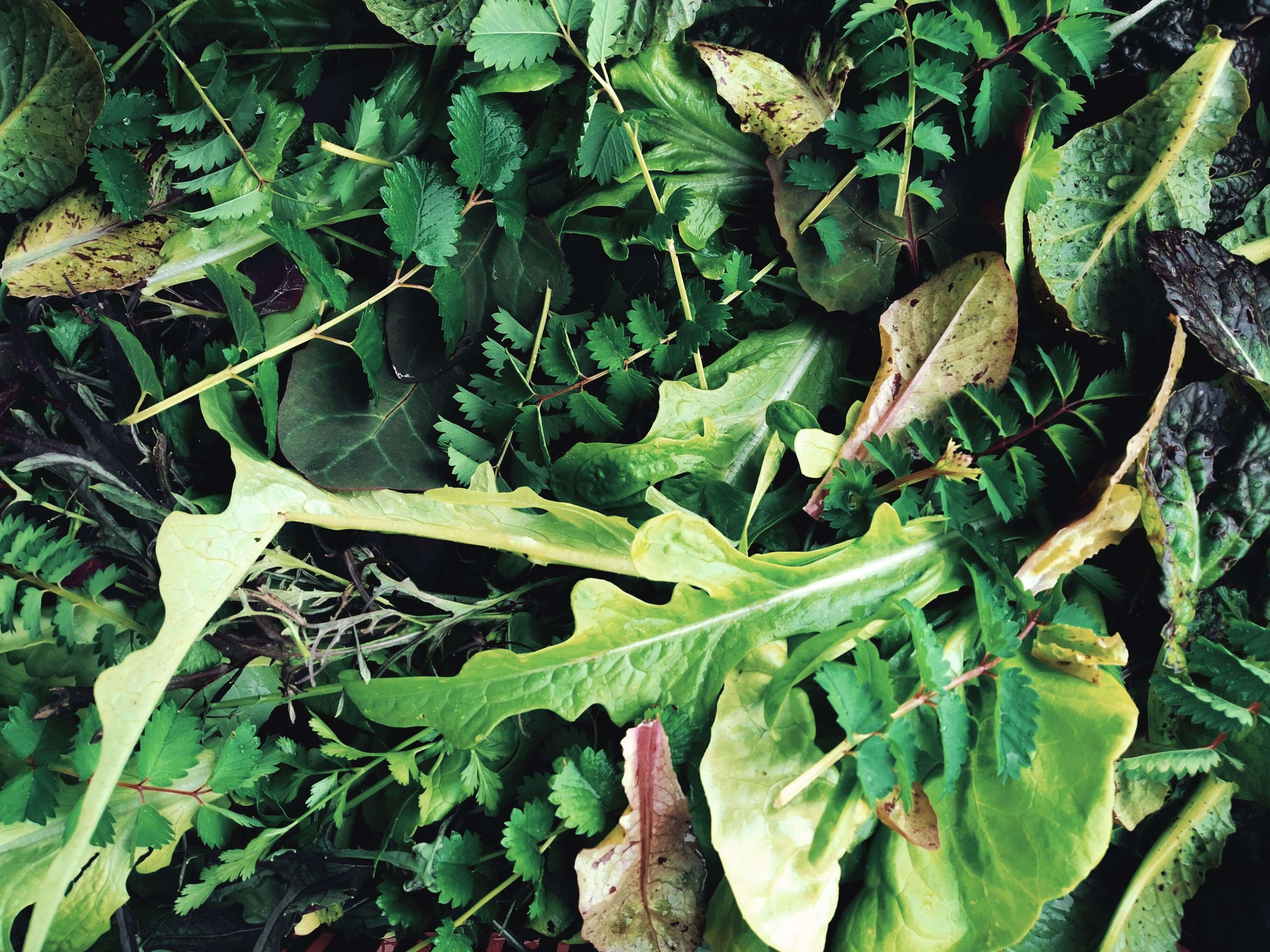 légumes-feuilles-chez-Mésage