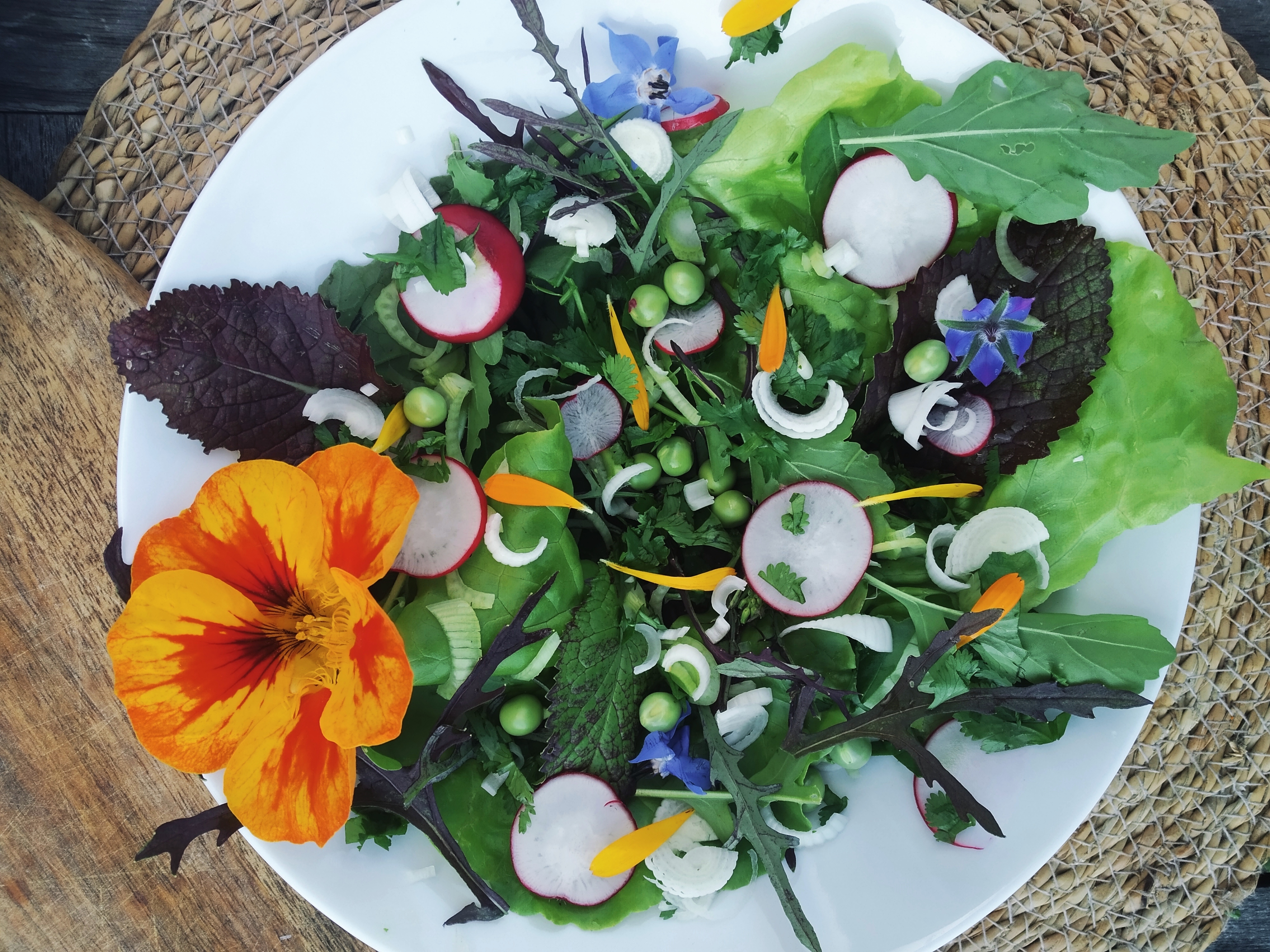 salade-printemps-verdure-mesclun-radis-fleur