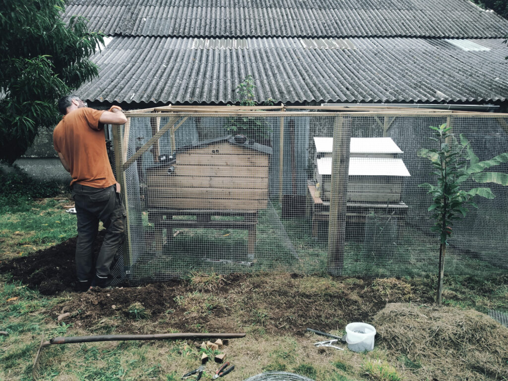 construction-enclos-poulailler-mésage